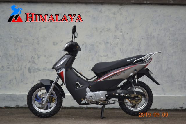 BELLA-135