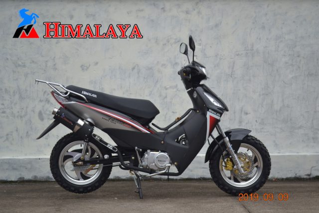 BELLA-135