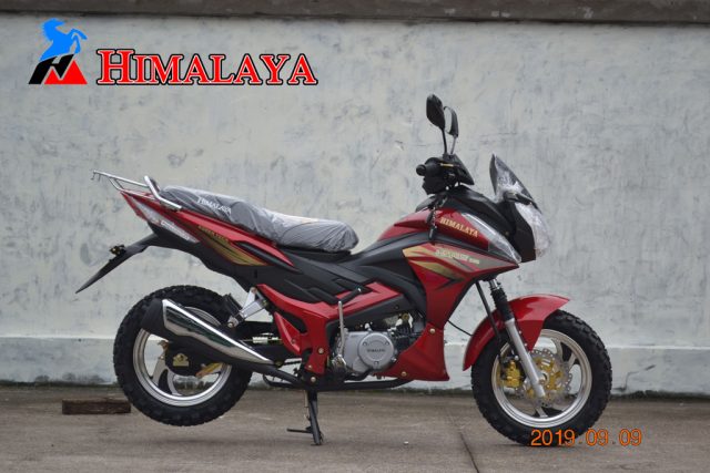 CITSPORT 135