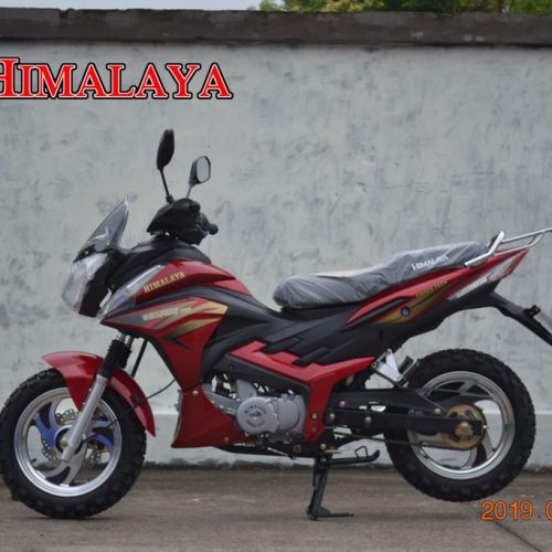 CITSPORT 135