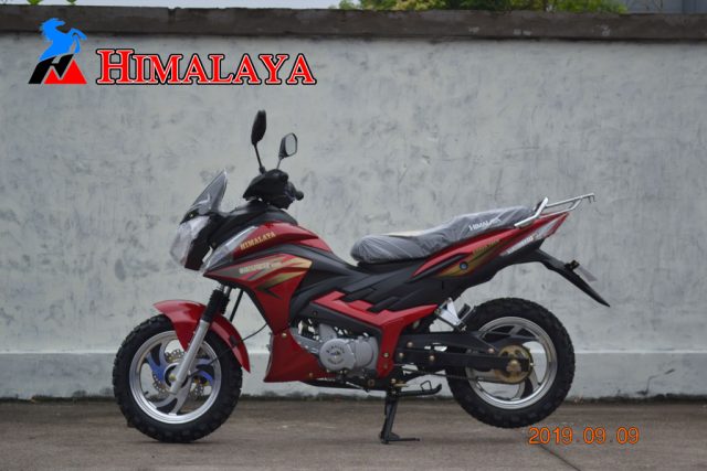 CITSPORT 135