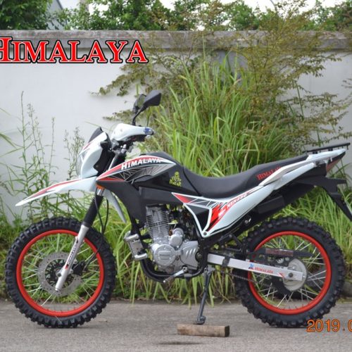 NEW NTX250